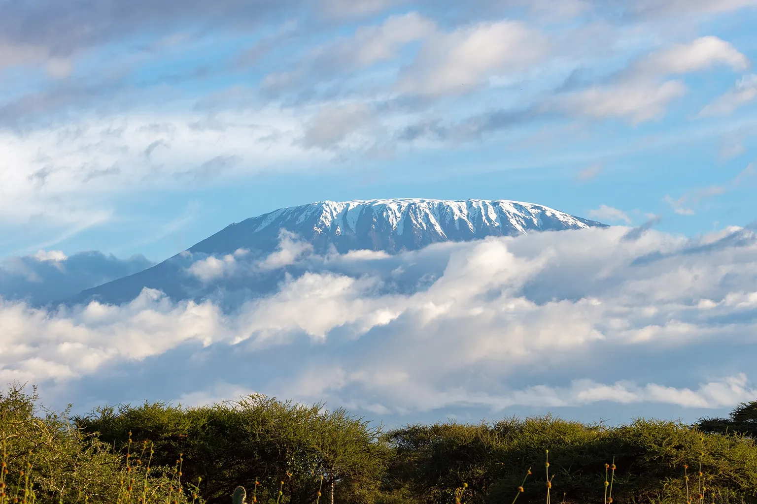 Le sommet enneigé du Kilimandjaro émergeant des nuages au-dessus d'une savane à acacias